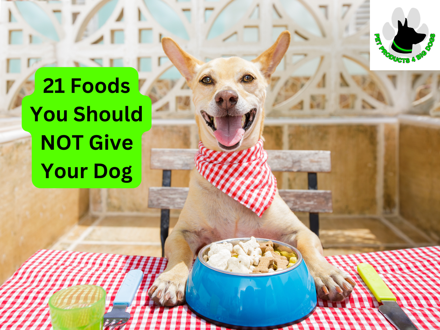 21 Foods You Should NOT Give Your Dog 4bigdogs