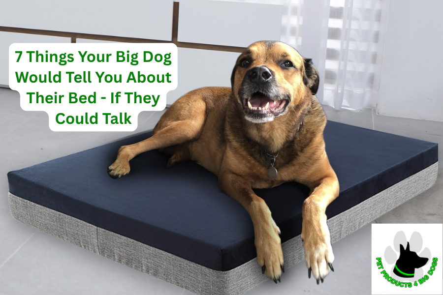7 Things your big dog would tell you about their bed - if they could talk