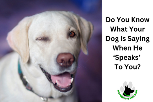 Do You Know What Your Dog Is Saying When He ‘Speaks’ To You?