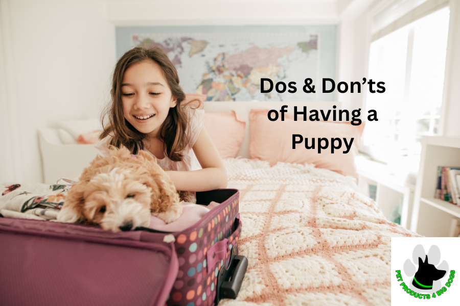 Dos & Don’ts of Having a Puppy