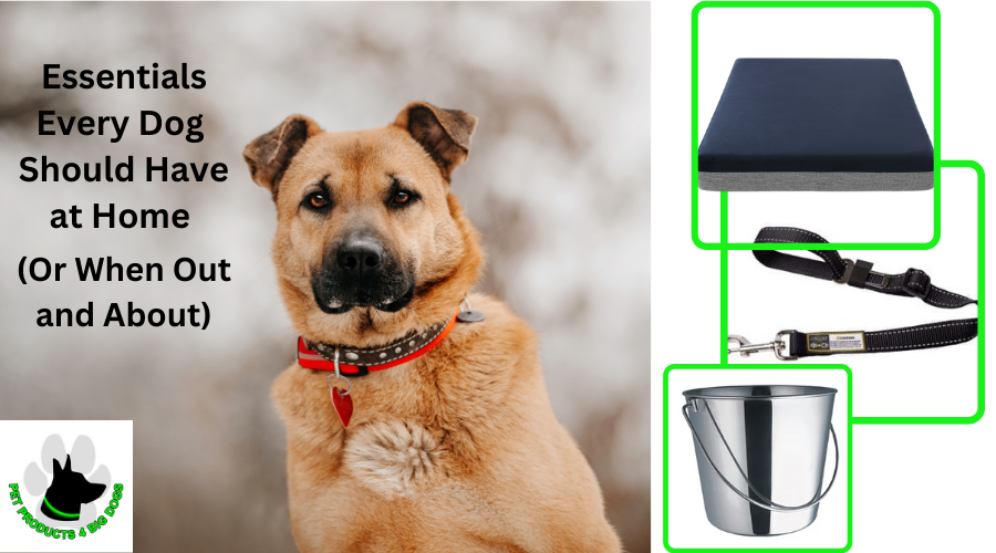 Essentials every dog should havev at home or when out and about. Pet products for dogs