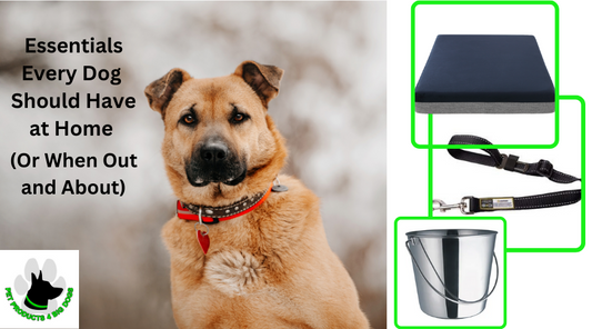 Essentials every dog should havev at home or when out and about. Pet products for dogs