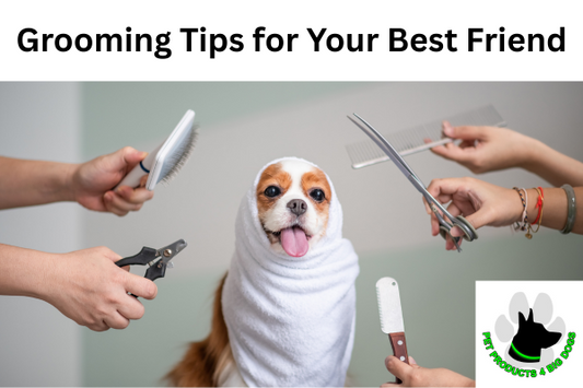 Grooming Tips for Your Best Friend