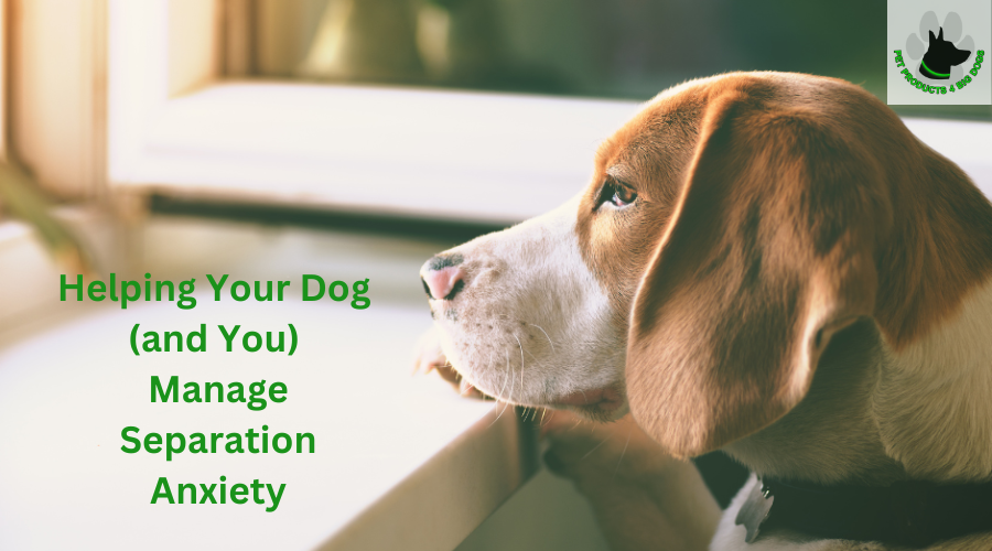 Helping Your Dog (and You) Manage Separation Anxiety