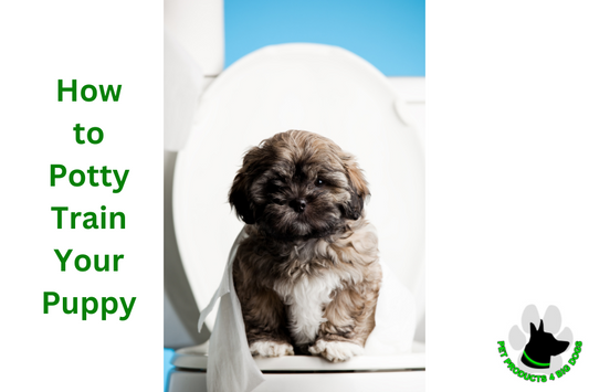 How to Potty Train Your Puppy