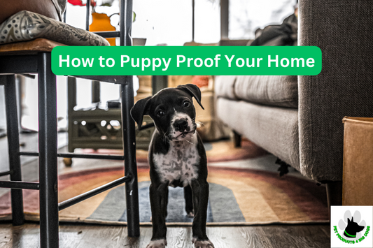 How to Puppy Proof Your Home