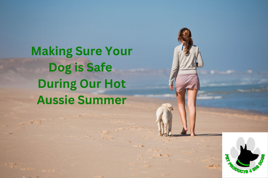 Making Sure Your Dog is Safe During Our Hot Aussie Summer