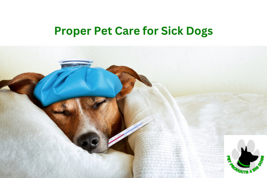 Proper Pet Care for Sick Dogs