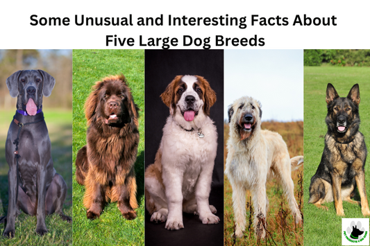 big dogs large dog breeds