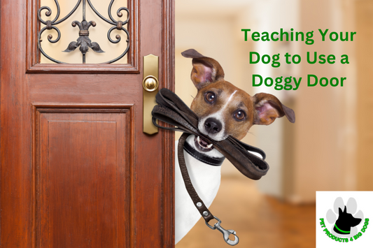 Teaching Your Dog to Use a Doggy Door