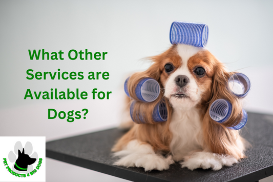 What Other Services are Available for Dogs?