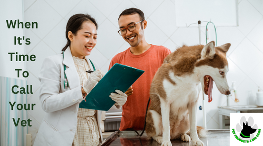 When It's Time To Call Your Vet