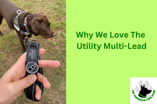 Why We Love The Utility Multi-Lead