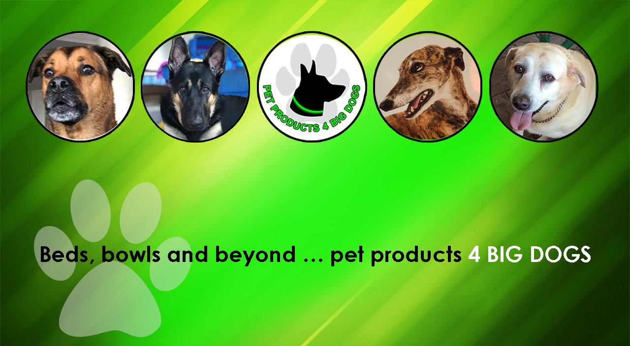 4BigDogs Pet Products for big dogs Beds bowls for big dogs Big Dog Products