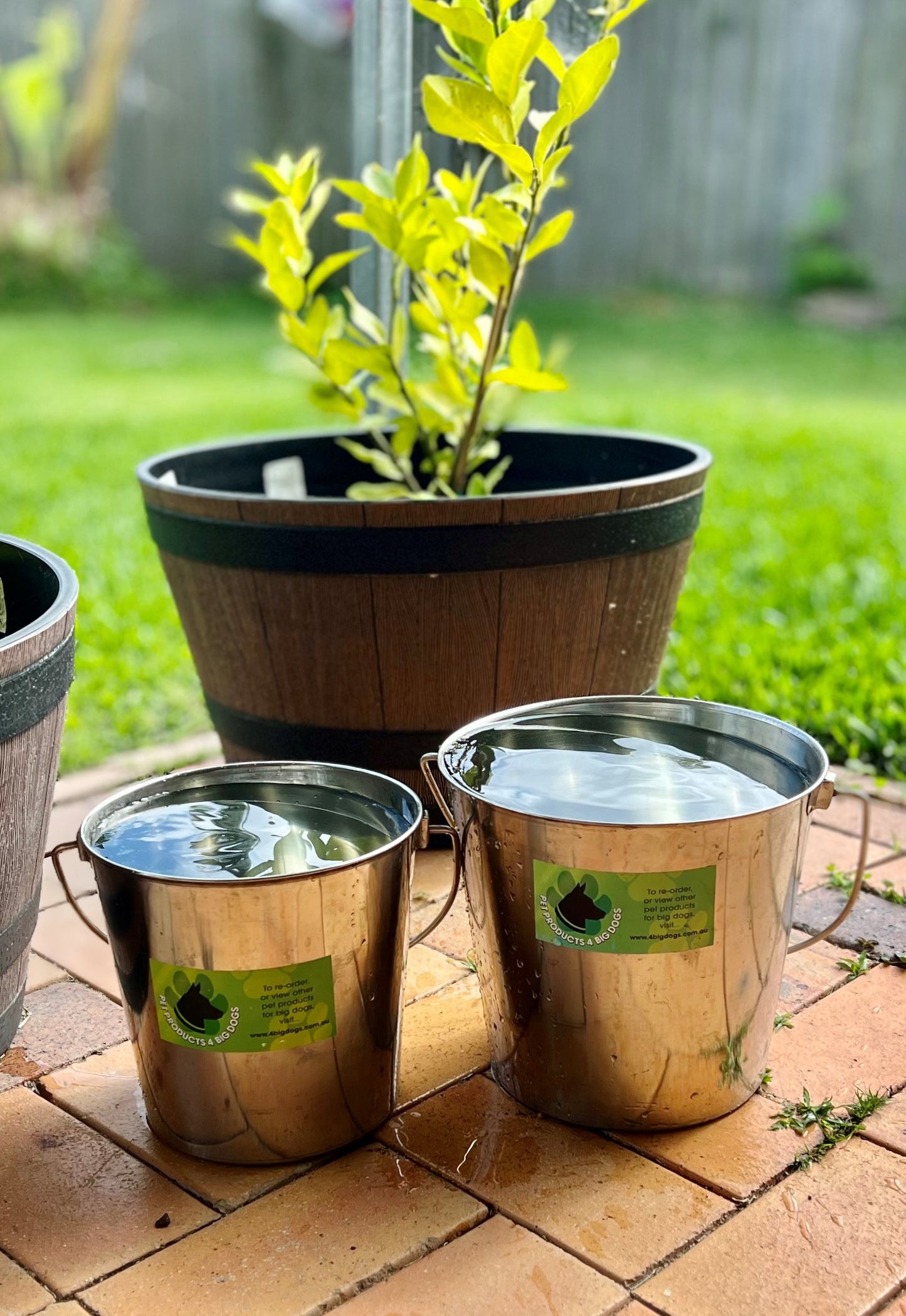02 Large 6L Tall Water Bowl