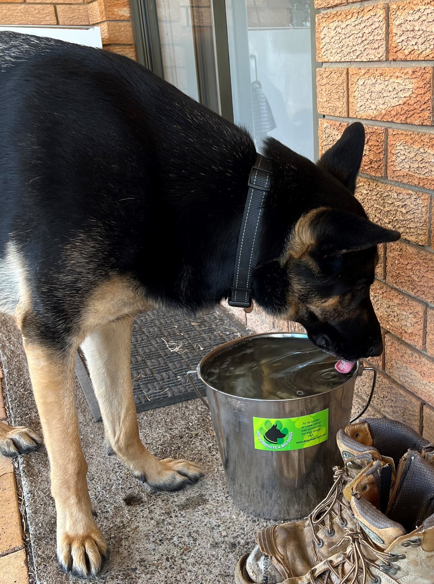 15 Extra Large 9L Tall Water Bowl