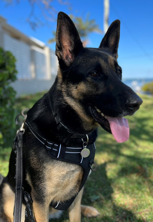 05 No Pull Reflective Dog Vest Harness Black Large