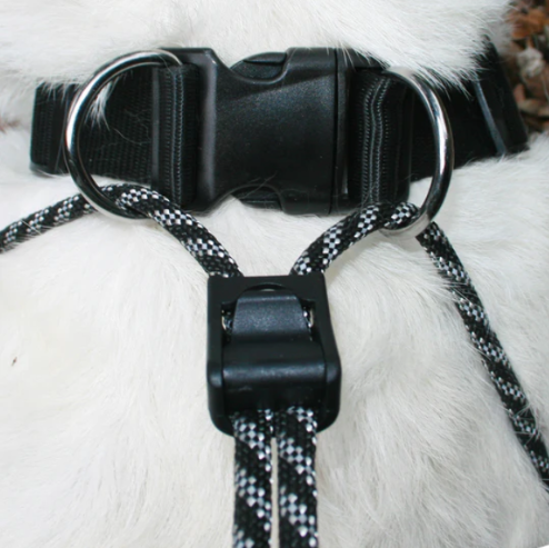 20 Sporn Big Dog Halter (Black) X Large