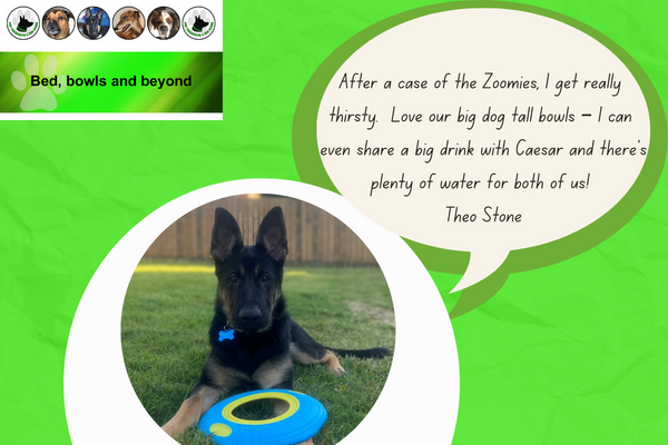 15 Extra Large 9L Tall Water Bowl