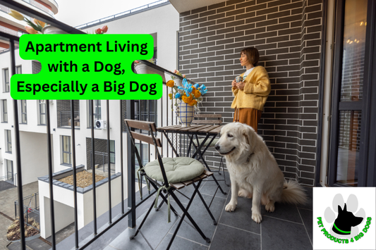 Apartment Living with a Dog, Especially a Big Dog