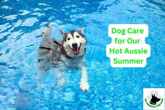 Dog Care for Our Hot Aussie Summer