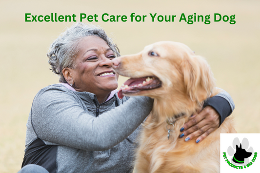 Excellent Pet Care for Your Aging Dog