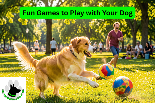 Fun Games to Play with Your Dog