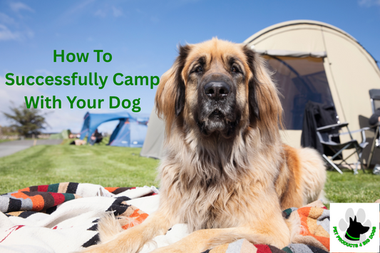 How To Successfully Camp With Your Dog