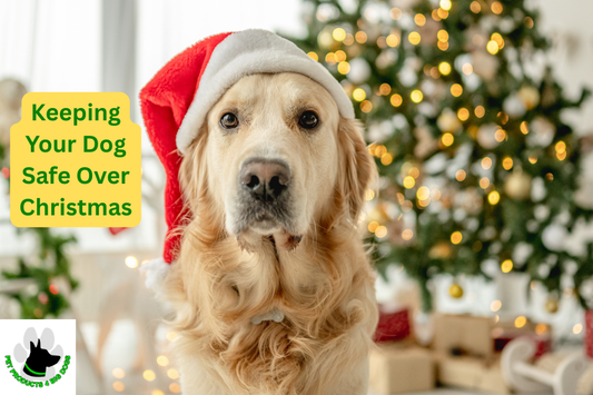Keeping Your Dog Safe Over Christmas