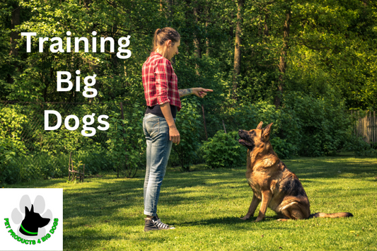 Training Big Dogs