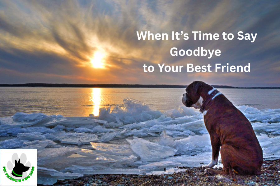 When It’s Time to Say Goodbye to Your Best Friend