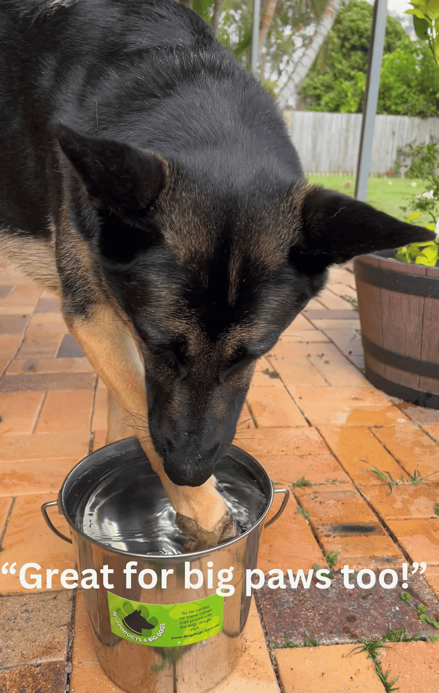 02 Large 6L Tall Water Bowl