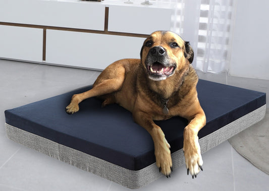 large dog bed memory foam dog bed orthopedic dog bed for arthritis