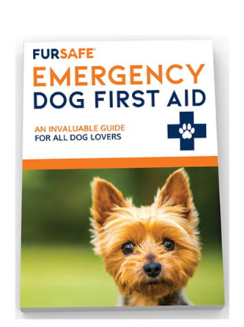 Dog First Aid book Dog book Dog Emergency book