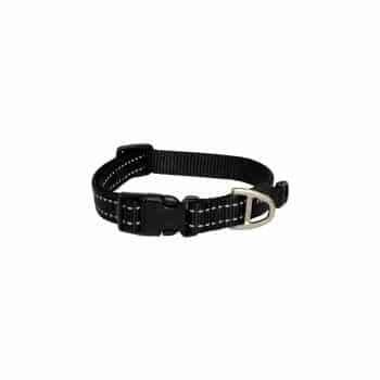 Classic dog collar for big dogs