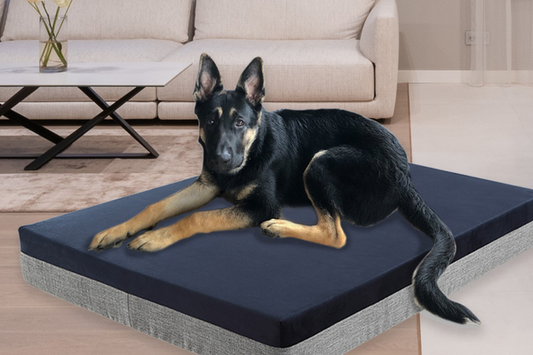 orthopedic dog bed memory foam dog bed dog bed for arthritis extra large dog bed